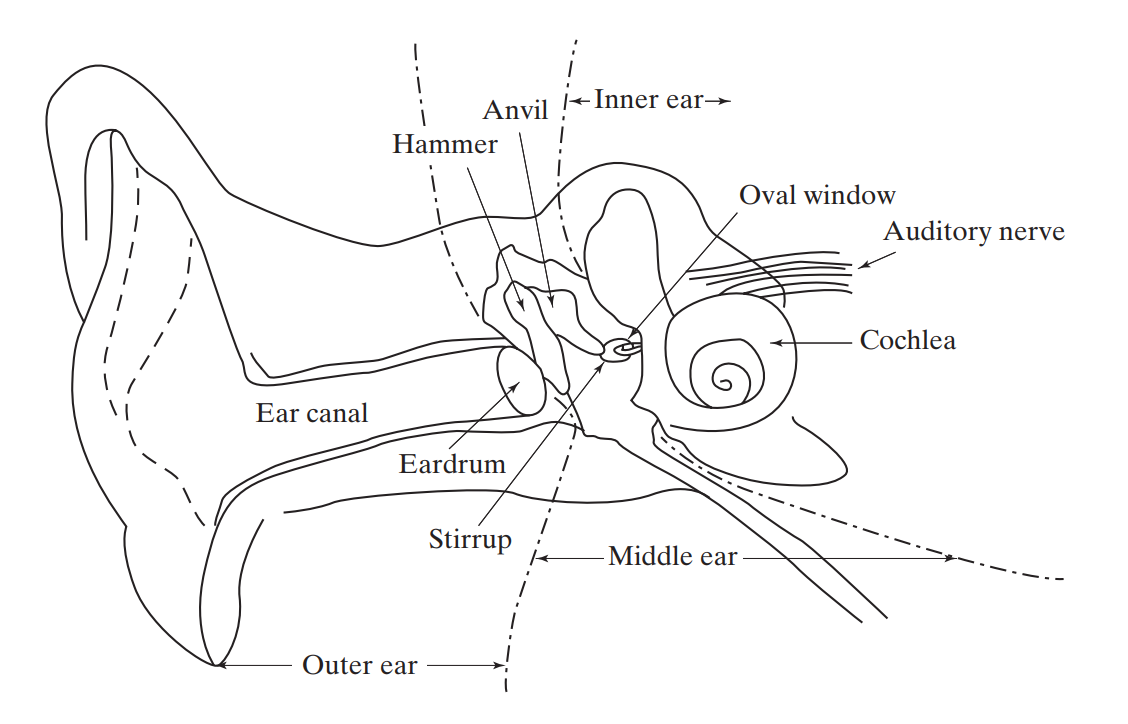 تبدیل ارتعاشات مکانیکی (Mechanical Vibrations) به صدا توسط گوش انسان